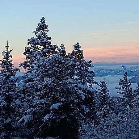 Silenes C21 Aux Domaines De L'arselle - 1700 * Chamrousse